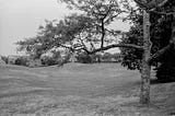 Quaker Graveyard