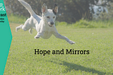 Hope and Mirrors — AdvantEdge Joy@Work Podcast