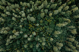 Bagging vs Boosting: The Complete Beginner’s Guide to Ensemble Learning in Machine Learning