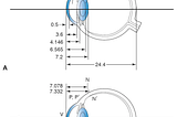 ABCD Analysis of Human Eye