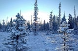 First Snow | Prometheus Dreaming