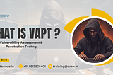 Understanding Vulnerability Assessment and Penetration Testing (VAPT): A Comprehensive Guide