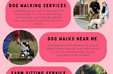 The Best Dog Walking Services in No Worries Pet & Farm Sitting: Pets in Good Hands