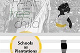 Leaving Plantations (mis)Named School