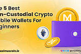 Maximus Tech blog cover titled The 5 Best Non-Custodial Crypto Wallets For Beginners
