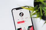 On TikTok: Promote Your Brand While Protecting Your Data