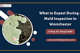 What to Expect During a Mold Inspection in Westchester: A Step-by-Step Guide