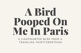 A Bird Pooped On Me In Paris