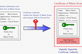 The Role and Importance of Certificate Authorities