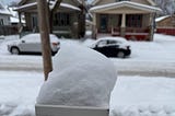 For the Love of Snow, and Dogs