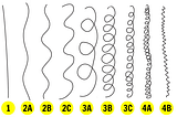 Três redemoinhos no cabelo