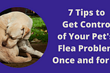 7 Tips to Get Control of Your Pet’s Flea Problem Once and for All