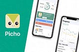 Case Study 1: Picho