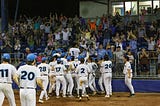 VIDEO: Martin’s single leads Danville to divisional title in walk-off fashion