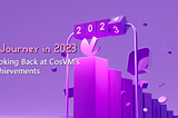 A Journey in 2023: Looking Back at CosVM’s Achievements
