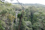 Toeing The Zipline