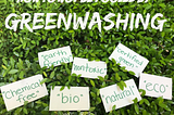 Cracking the Greenwashing Code: Strategies for Genuine Sustainability
