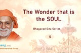 The Wonder that is the Soul explained by Swami Bhoomananda Tirtha