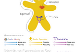A gingerbread man with information coming out of him, explaining how gender and sex both work.