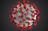 An illustration of coronavirus by CDC