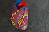 All You Need to Know About Paediatric Cardiac Surgery in India