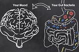 Discover how gut microbiota influence social choices, altruistic punishment, and behavioral economics through dopamine and thyrosine interactions