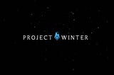Project Winter: The Review