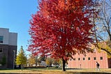 Fall is Here and What A Season to Be Glad
