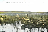 https://ojibwe.lib.umn.edu/collection/indians-harvesting-wild-rice