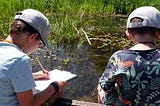 Exploring British Pond Life