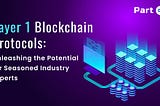 Layer 1 Blockchain Protocols: Unleashing the Potential for Seasoned Industry Experts Part 2
