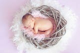 A baby nestled in a birds nest.