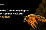 How the community fights back against hackers: honey pots; featuring solidity, ethereum virtual machine, smart contracts, blockchain explorers.