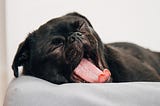 5 Tips to Keep Your Energy Up When A Nap Isn’t Possible