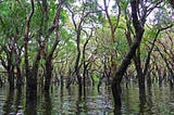 Andaman Tour: Where in India can you find Jarawa & Sentinelese Tribes?