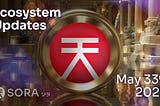 SORA Ecosystem Updates #87, May 33, 2025