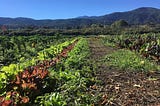 Sustainability At The Southern Oregon University Farm