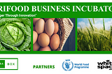Agrifood Business Incubator 2020, Arusha, Tanzania