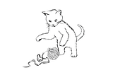 Funny Cat Playing Yarn Ball