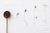 Spring Bean Life cycle