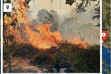 This summer Aratos proposes a complete “Satellite Fire Management System” for forest protection