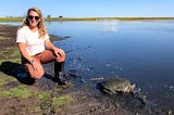 Crew member sits near giant snapping turtle in a wetland