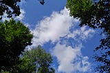 A blue sky with white, fluffy clouds is seen through a canopy of trees.