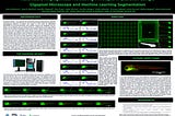 Presented at ZDM 2023: Automated Angiogenesis Monitoring Timelapse in Zebrafish using a Gigapixel…