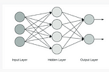 Exploring the Dynamics of Feedforward and Neural Network Architecture