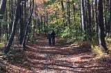 Why You Should Get Up and Take a Walk Right Now