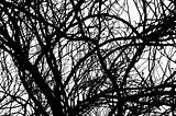 Is photography stuck in a constantly repeating loop?