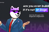 How to Use Dogechain: Writing, Deploying, and Verifying Smart Contracts