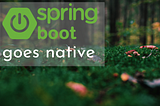 Spring Boot 3 and Spring Native: