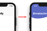 Swift — Custom Navigation Bar Image for iOS 11 Large Titles 🎨